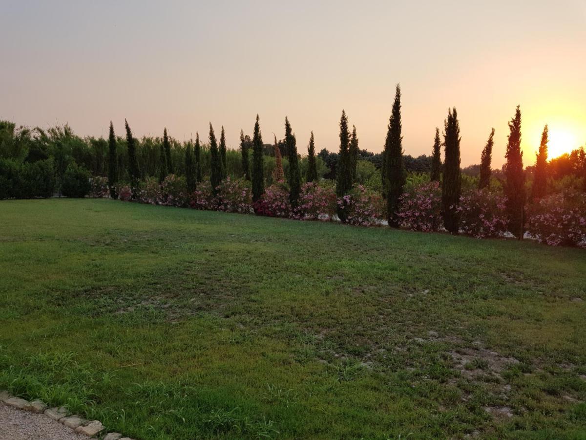 Le Mas De Guiguite Mézoargues Eksteriør bilde